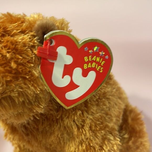 Sequoia the Brown Bear 2001 Ty Original Beanie Baby NWT Excellent Condition - Picture 7 of 8